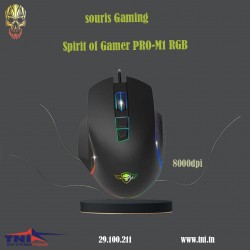 Souris Gaming Spirit Of...